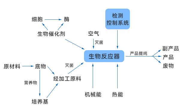 一般生物技术生产过程示意图 一般生物技术生产过程示意图