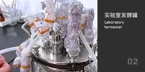 实验室发酵罐灭菌 实验室发酵罐灭菌